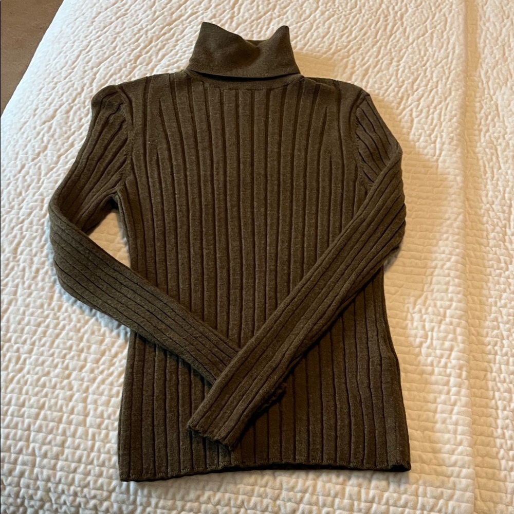 Banana Republic Olive/brown Merino Wool Ribbed Turtleneck